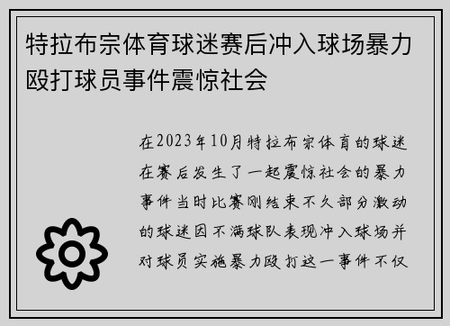 特拉布宗体育球迷赛后冲入球场暴力殴打球员事件震惊社会